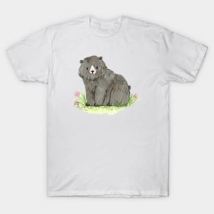 Oso Pardo T-Shirt